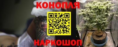 герыч Камышлов