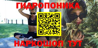 Альфа ПВП Кандалакша