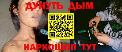 Альфа ПВП Кандалакша